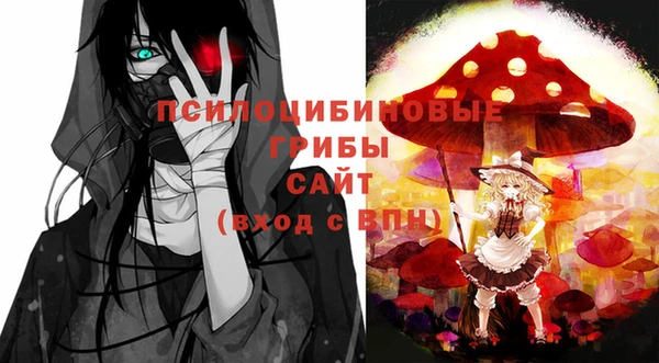 гидропоника Алзамай
