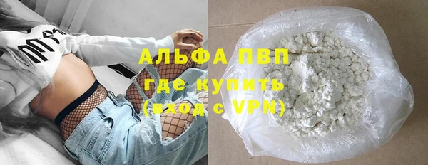 трава Ельня